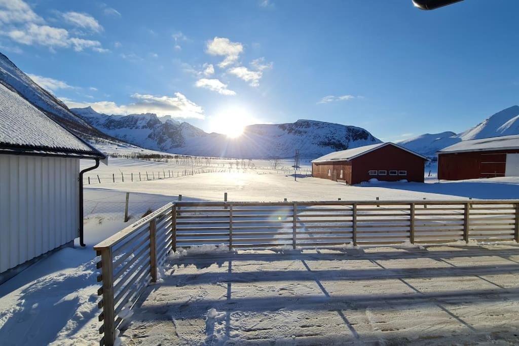 Arctic Lodge Tromvik With Jacuzzi Tromsø Buitenkant foto
